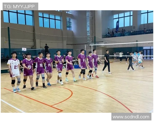 排球心理素质分析:广州排球队荣获全国第三名的背后故事 排球心理素质分析:广州排球队荣获全国第三名的背后故事