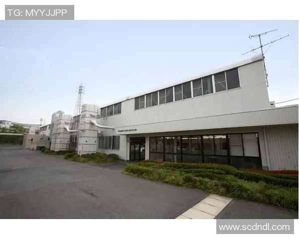 武汉排球队的整体压制革新之路与未来发展展望 武汉排球队的整体压制革新之路与未来发展展望