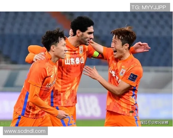 南京排球队灵活性变革引发热议新策略助力球队提升竞技水平